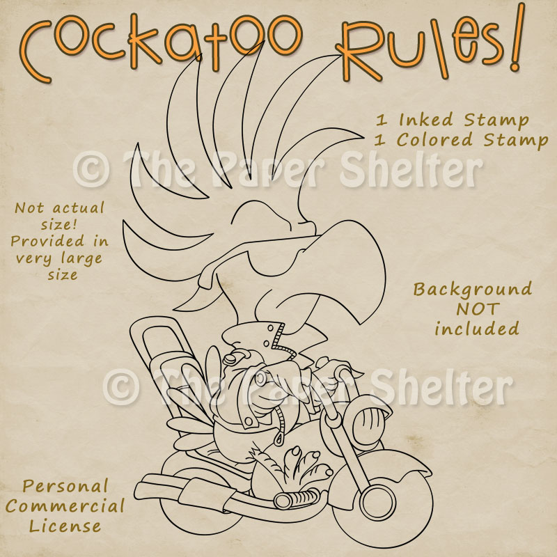 Cockatoo Rules!