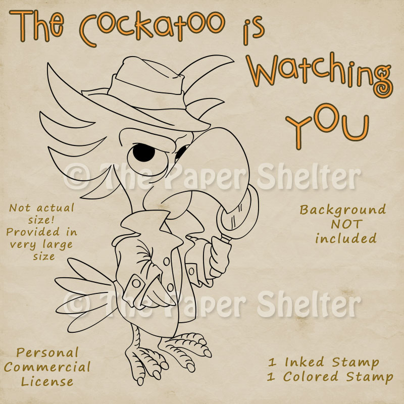 The Cockatoo is watching you - Click Image to Close