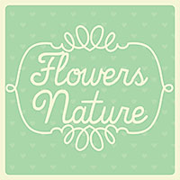 Flowers/Nature