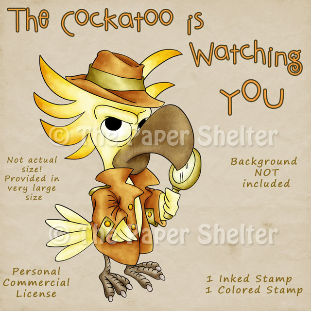 The Cockatoo is watching you