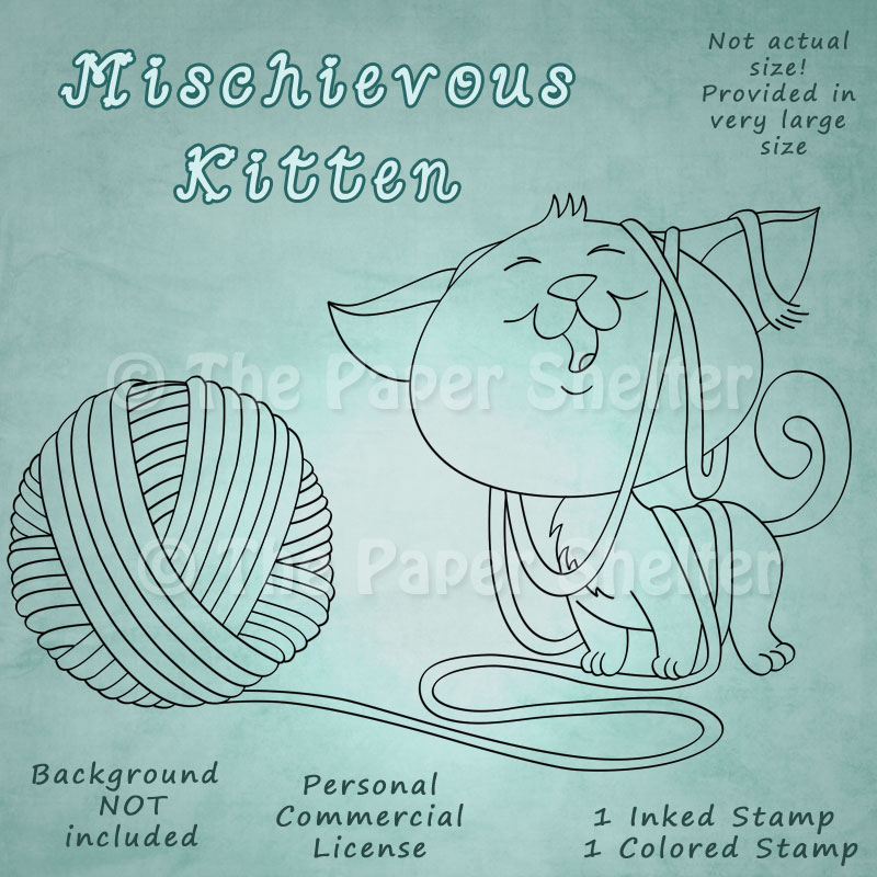 Mischievous Kitten