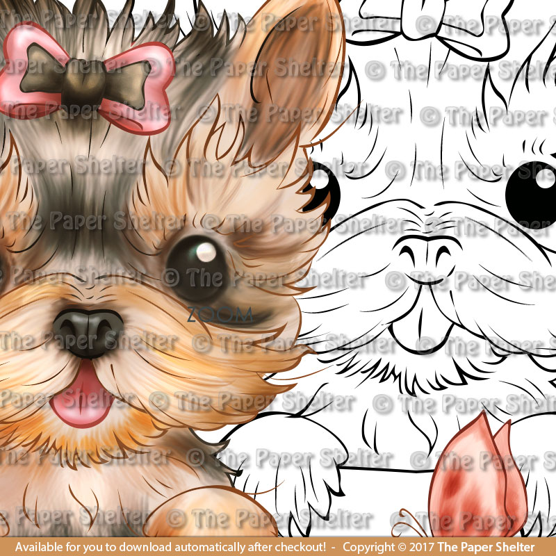 Teacup Yorkie - Digital Stamp