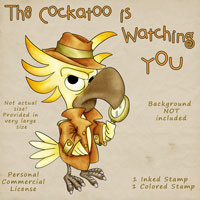 The Cockatoo is watching you - Click Image to Close