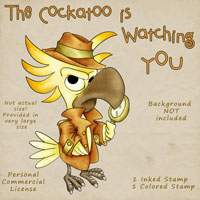 The Cockatoo is watching you