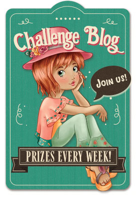The Paper Shelter Challenge Blog!