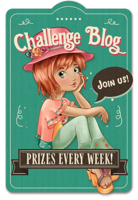 The Paper Shelter Challenge Blog! The Paper Shelter Challenge Blog!