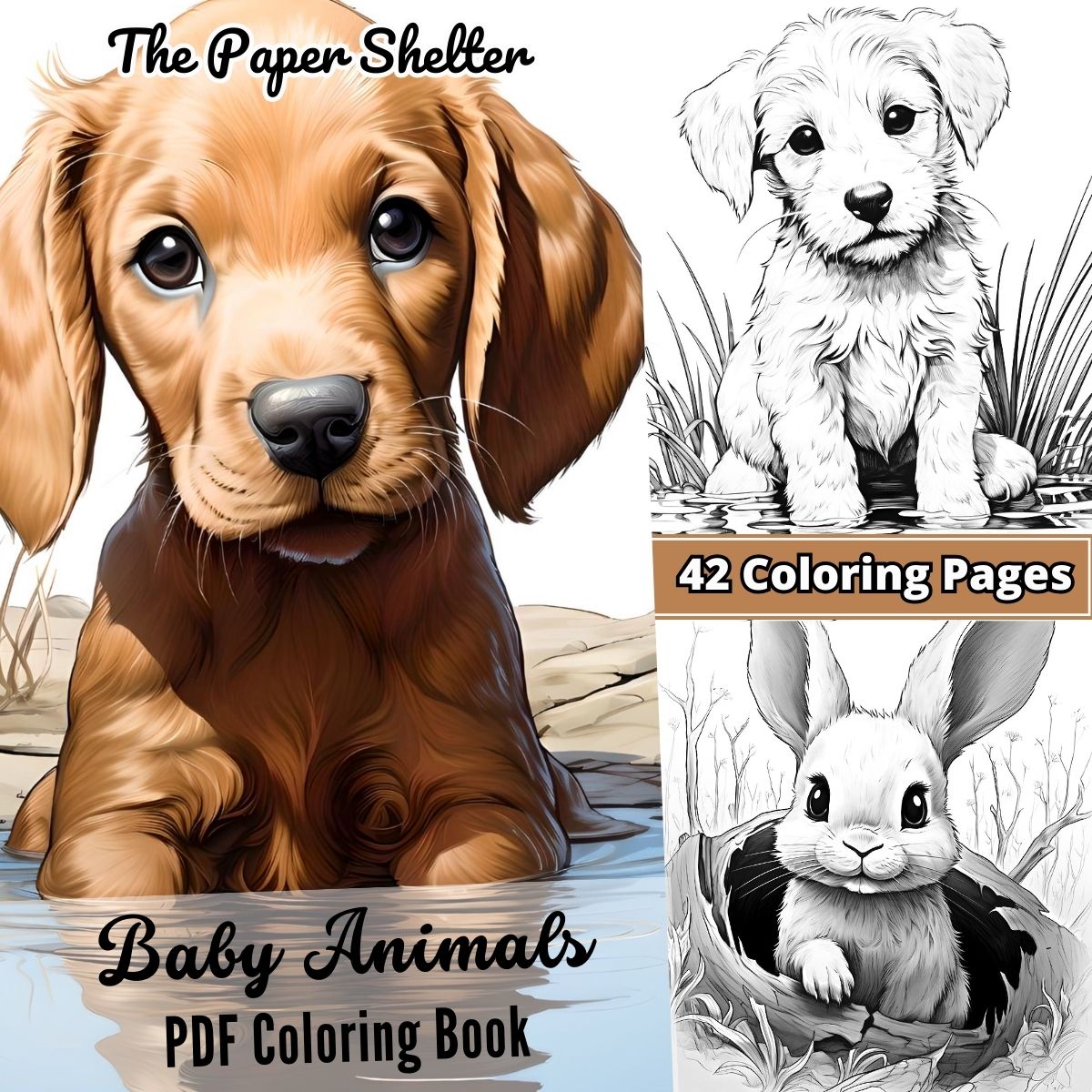 Baby Animals - Digital Coloring Book - Click Image to Close