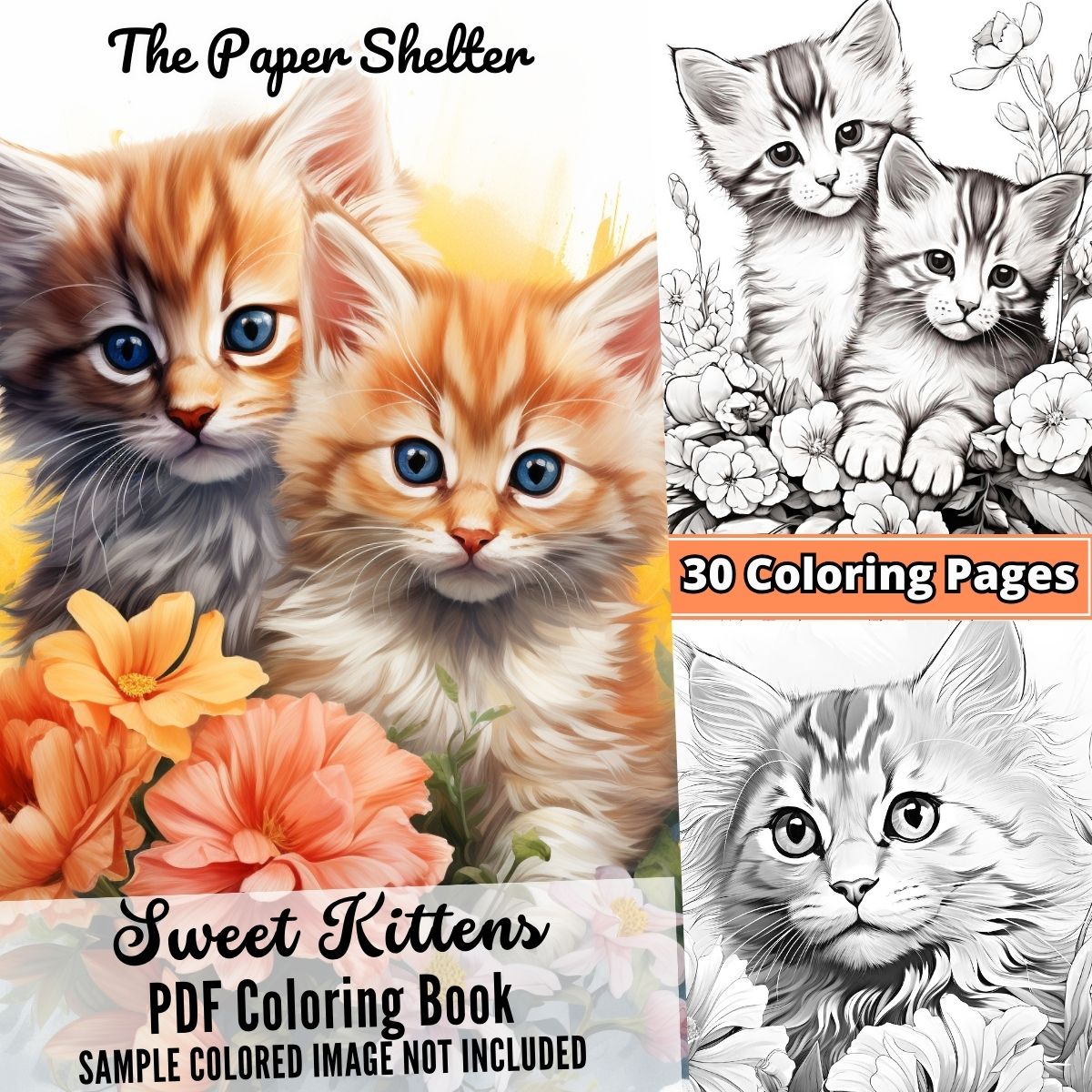 Sweet Kittens - Digital Coloring Book - Click Image to Close