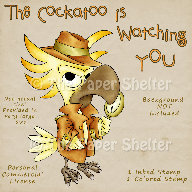 The Cockatoo is watching you - Click Image to Close